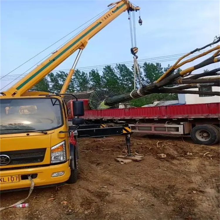 团风100吨吊车租赁费用怎么算？3大关键因素+省钱技巧全解析